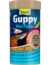 Tetra Guppy