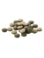Tetra Pleco Tablets
