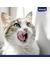 Vitakraft Premium Filets Cat