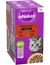 whiskas 1+ Klassische Auswahl in Sauce