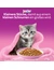 whiskas Junior Klassische Auswahl in Sauce