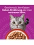 whiskas 1+ Klassische Auswahl in Sauce