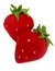 Aumüller Erdbeeren 2er-Set