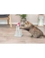 TRIXIE Cat Activity Strategiespiel Turn Around