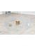 TRIXIE Indoor Freilaufgehege Metall