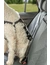 TRIXIE Auto-Geschirr Comfort