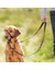 TRIXIE Trainingsgeschirr Top Trainer