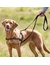 TRIXIE Trainingsgeschirr Lead'n'Walk Soft