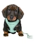 TRIXIE Junior Welpen-Softgeschirr Leine