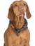 TRIXIE BE NORDIC Zug-Stopp-Halsband