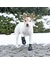 TRIXIE Pfotenschutz Walker Active