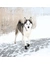 TRIXIE Pfotenschutz Walker Active
