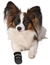 TRIXIE Pfotenschutz Walker Care Comfort
