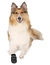 TRIXIE Pfotenschutz Walker Care Comfort