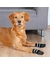 TRIXIE Socken Anti-Rutsch Rundum-Gummi