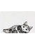 TRIXIE Napfunterlage Katze