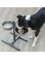 TRIXIE Hundebar