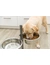 TRIXIE Hundebar