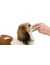 TRIXIE Eye Care Augenpflege Pads