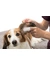 TRIXIE Ear Care Ohrenpflege Fingerpads