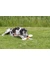 TRIXIE Denta Fun Mega Chewing Bone