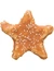 TRIXIE Denta Fun Star