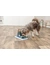 TRIXIE Dog Activity Poker Box Vario 2
