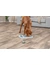 TRIXIE Dog Activity Chess