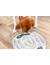 TRIXIE Dog Activity Slide & Feed
