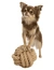 TRIXIE BE NORDIC Knoten-Ball