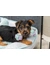 TRIXIE Junior Hantel