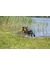 TRIXIE Aqua Toy Ente am Seil