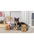 TRIXIE Hund Enno