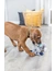 TRIXIE Junior Hund mit Tau