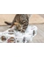 TRIXIE Cat Activity Paws'n'Treats Box