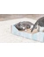 TRIXIE Kratzbett mit Katzenminze