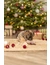 TRIXIE Xmas Elch Donut