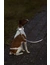 TRIXIE Premium Reflect V-Leine