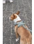 TRIXIE Premium FlexMesh Geschirr