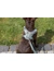 TRIXIE Premium FlexMesh Geschirr