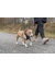TRIXIE Premium FlexMesh Geschirr