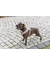 TRIXIE Premium FlexMesh Geschirr