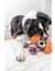 TRIXIE Hund mit Tau