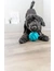 TRIXIE Super Strong Ball