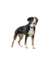 HUNTER Hundehalsband Softie Stone