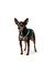 HUNTER Hundegeschirr Tripoli