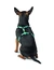 HUNTER Hundegeschirr Tripoli