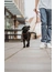 HUNTER Hundehalsband Aalborg