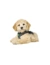 HUNTER Hundegeschirr Hilo Comfort