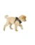 HUNTER Hundegeschirr Hilo Comfort